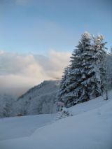 Le foto di Abetone: 13-01-08 Una domenica rara